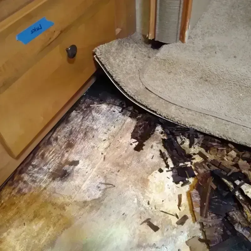 Wood Floor Water Damage in Turner County, GA